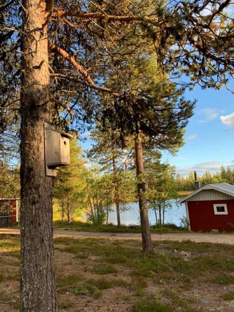 Off-Grid Cabin In Nattavaara Lapland Exterior photo