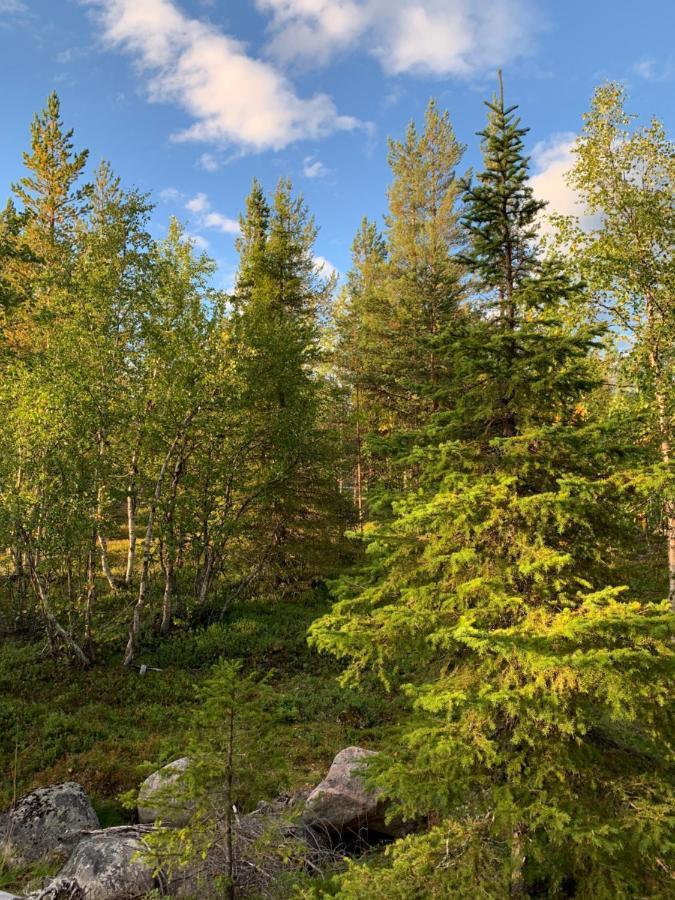 Off-Grid Cabin In Nattavaara Lapland Exterior photo